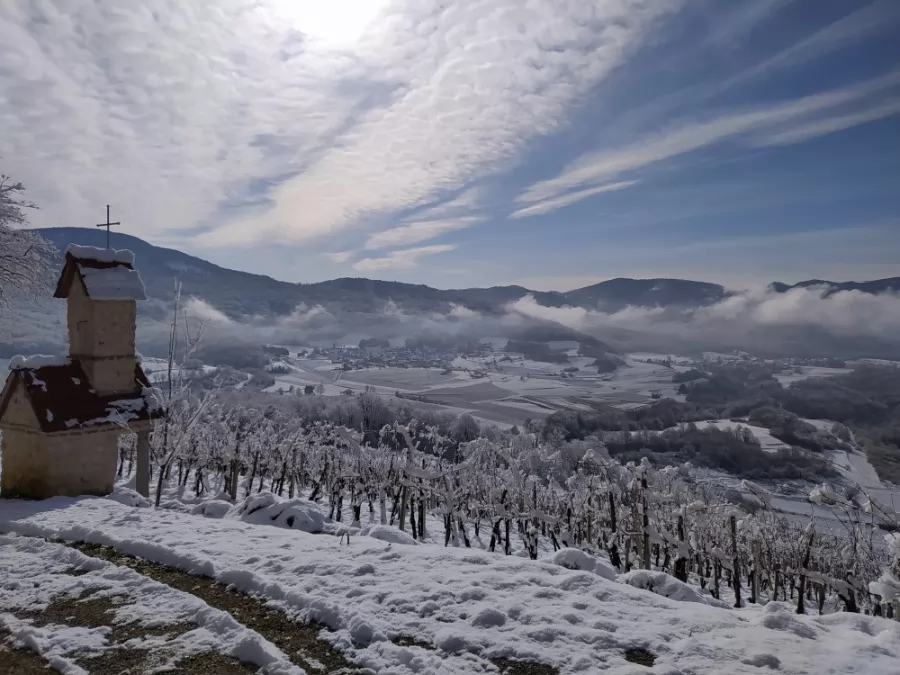 Počitniška hiša Sleme