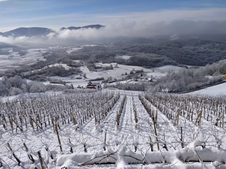 Počitniška hiša Sleme