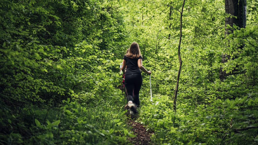 Pohod ob 1.maju iz Pišec do Kerinovega spomenika na tromeji