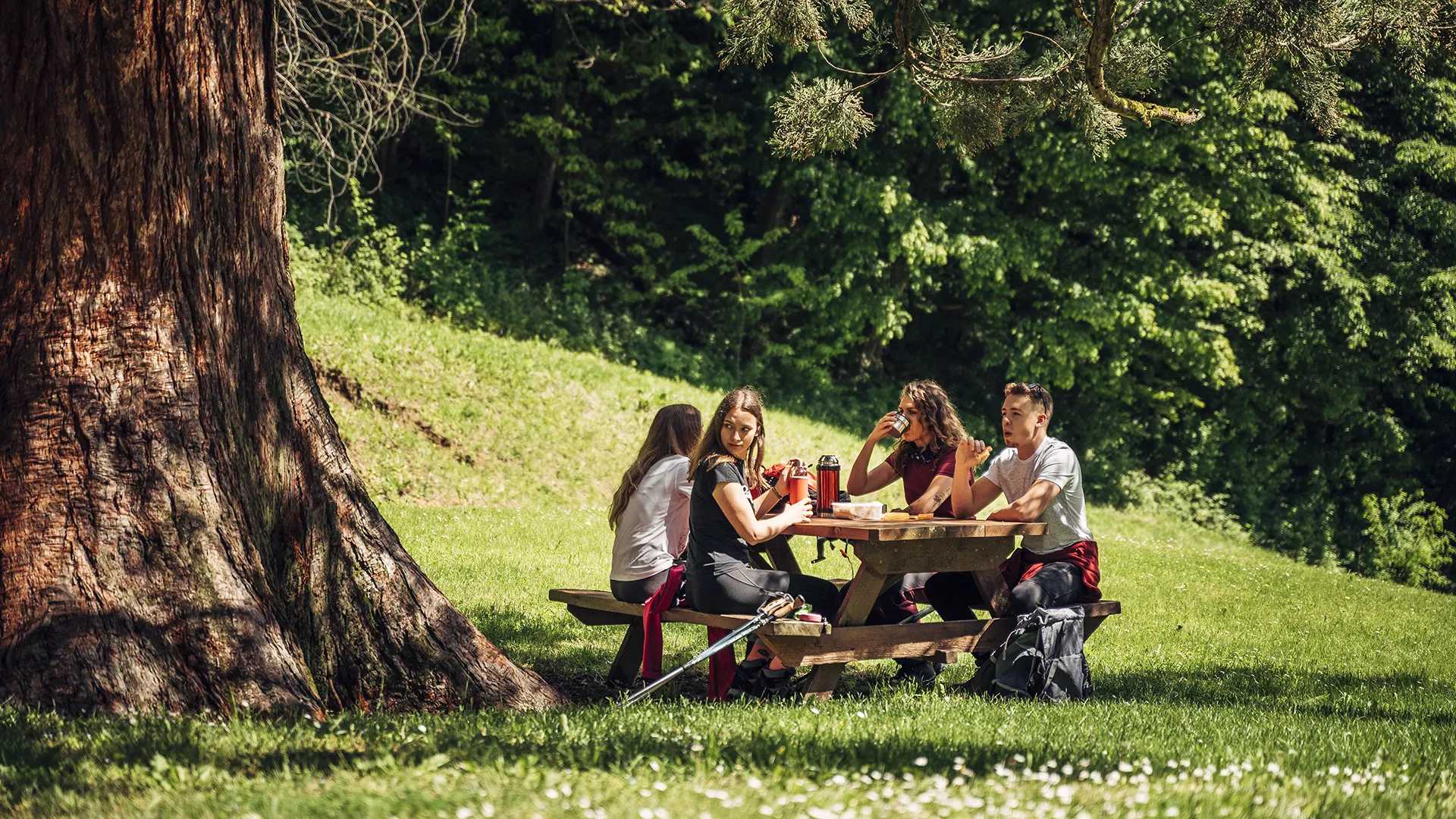 Pohod po Poti suverenosti