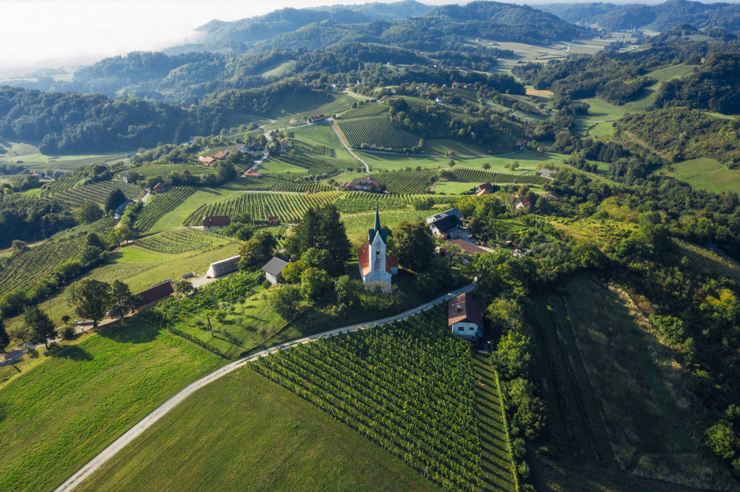 Pohod po Vidovi pešpoti