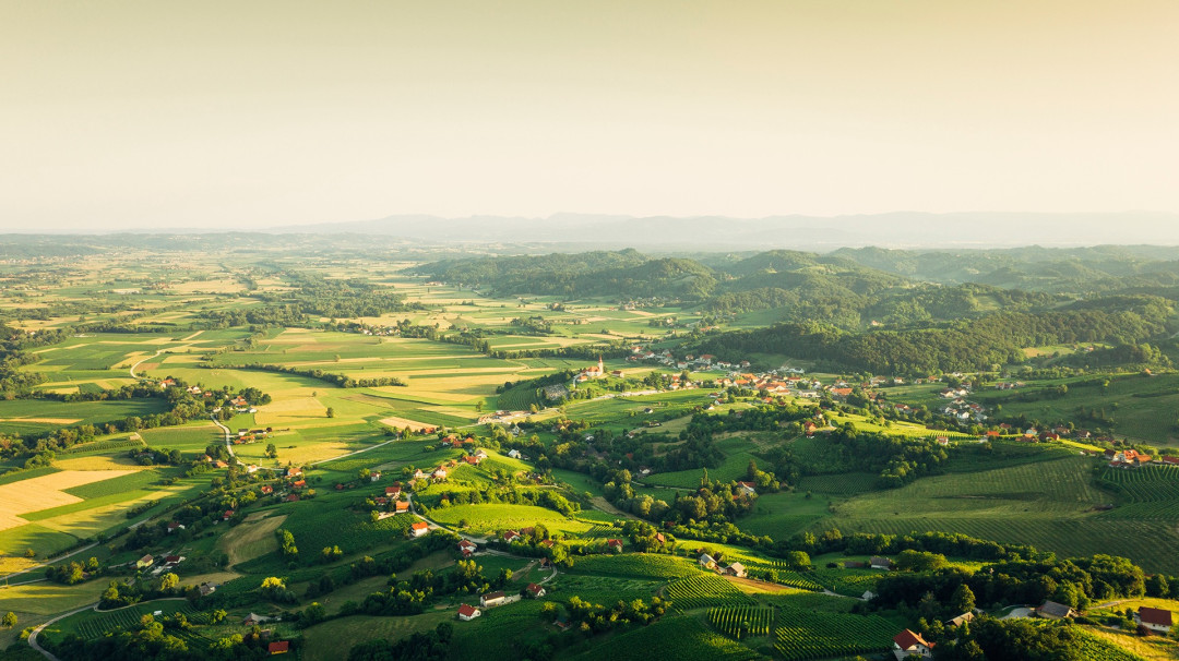»Pojemo, plešemo igramo v poletje«