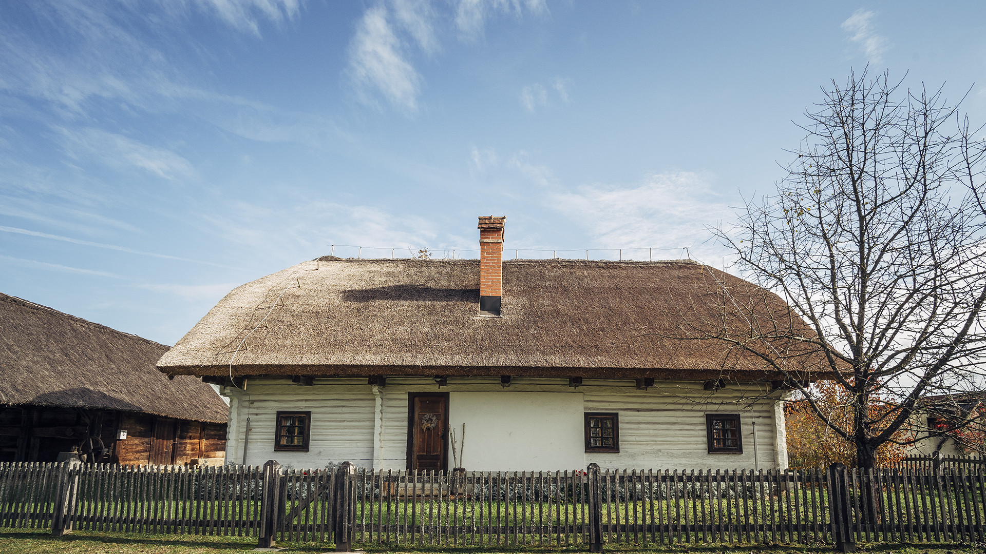 Poletna ponudba ’24