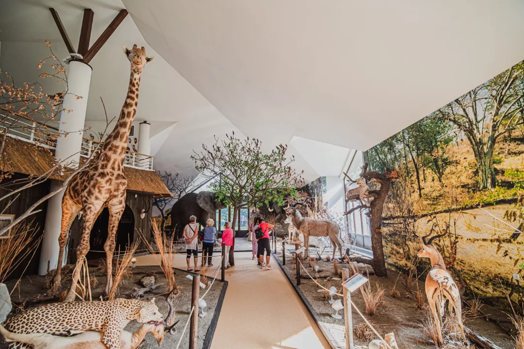 Polovič Hunting Museum