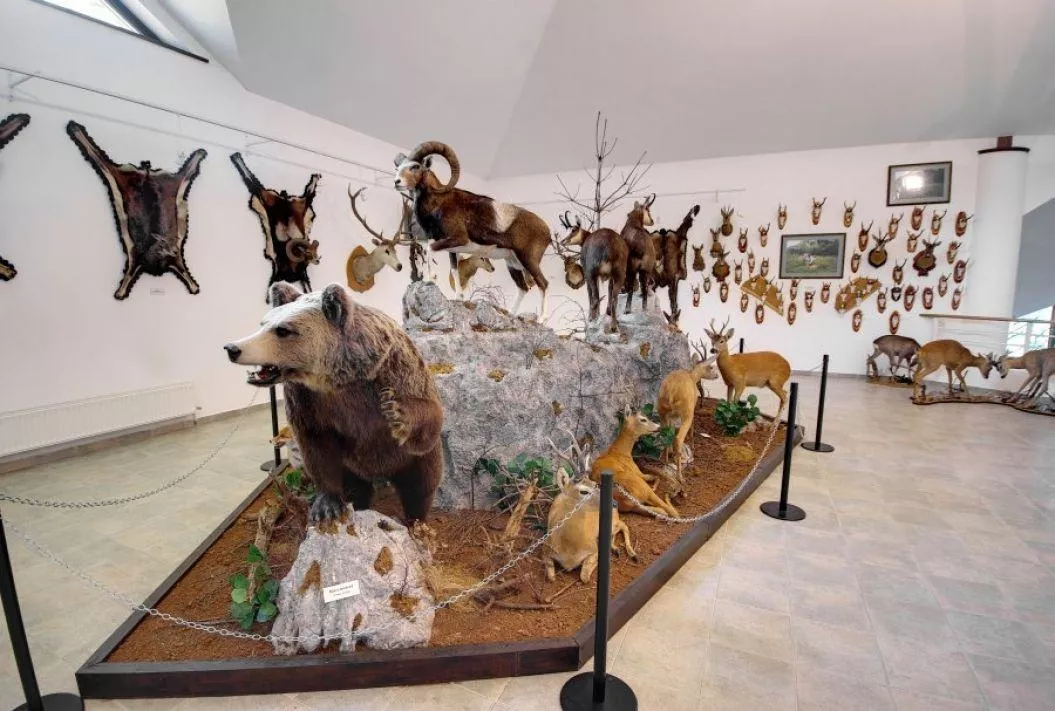 Polovič Hunting Museum