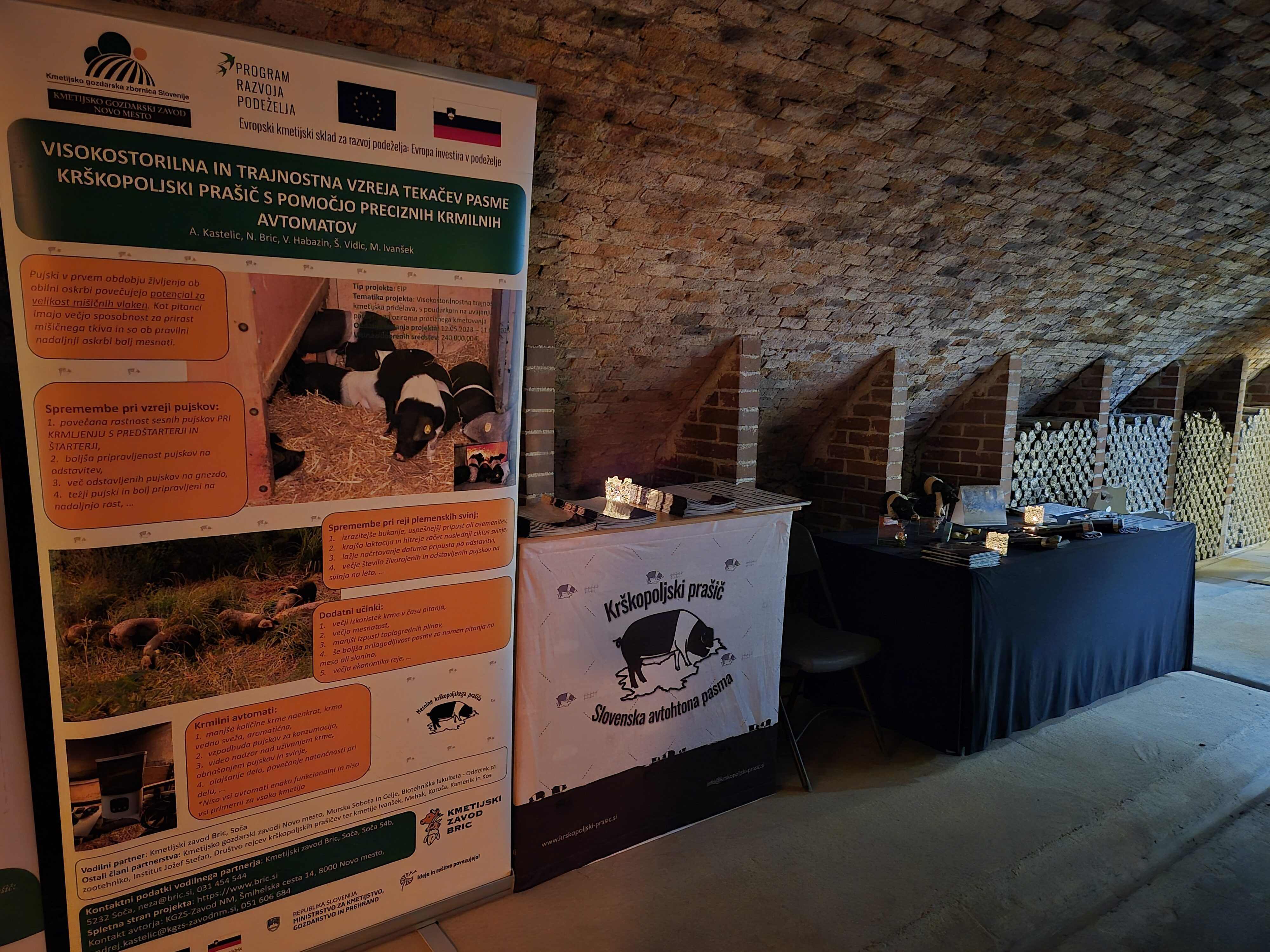 Praznovanje God sv. Antona Prašičkarja v Posavskem muzeju Brežice