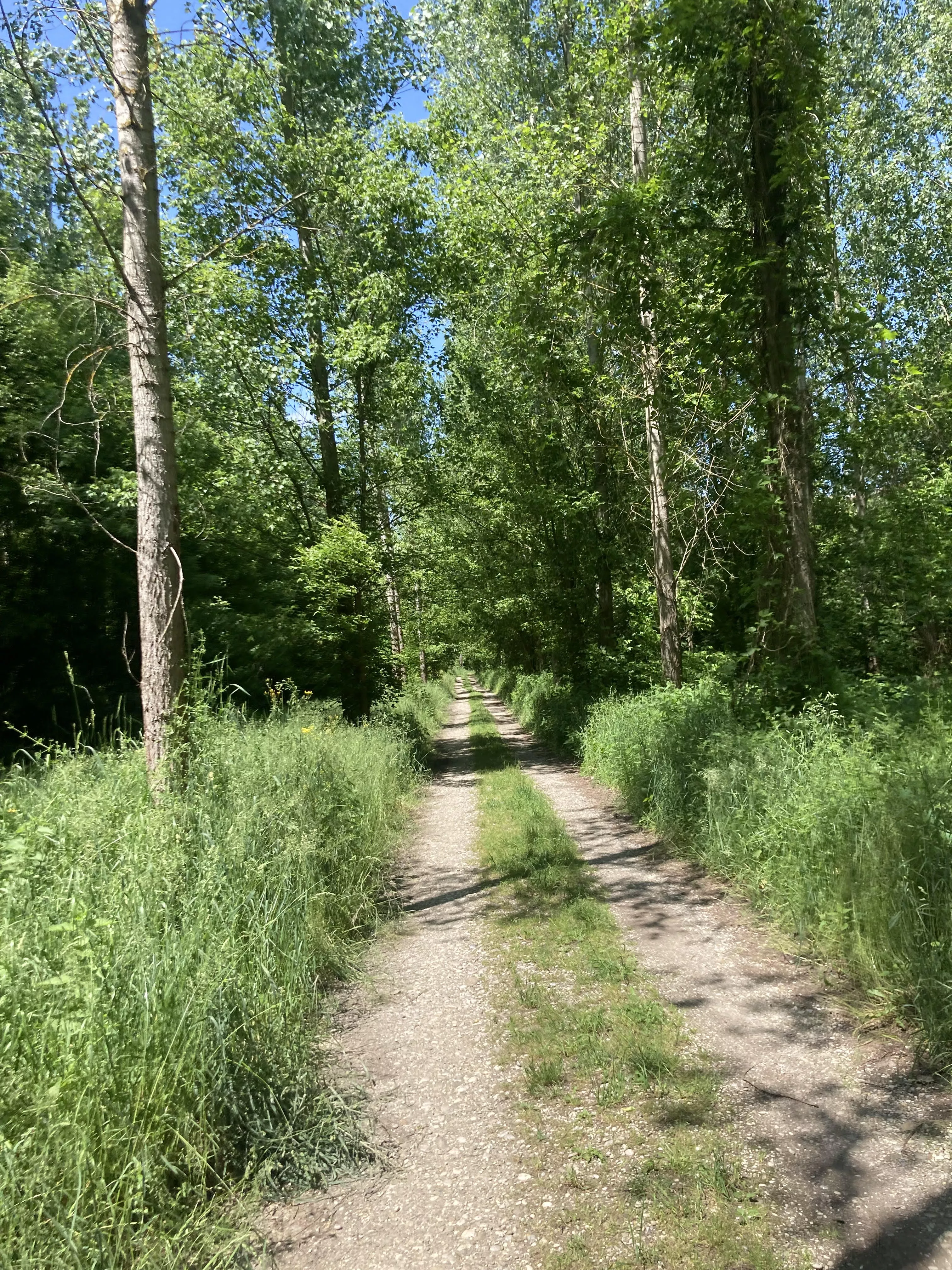 Predstavljamo tekaško traso za dogodek »Brežice tečejo ’23«