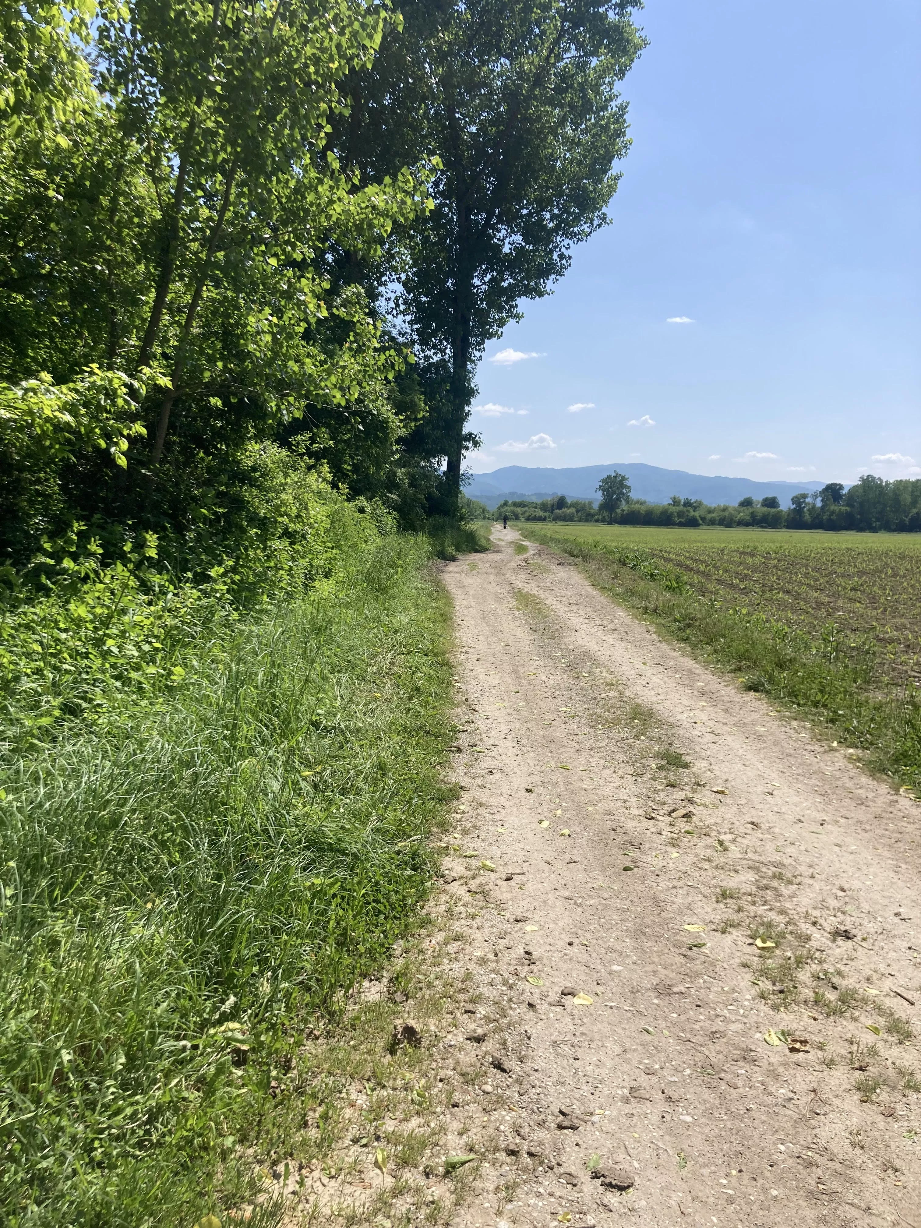 Predstavljamo tekaško traso za dogodek »Brežice tečejo ’23«