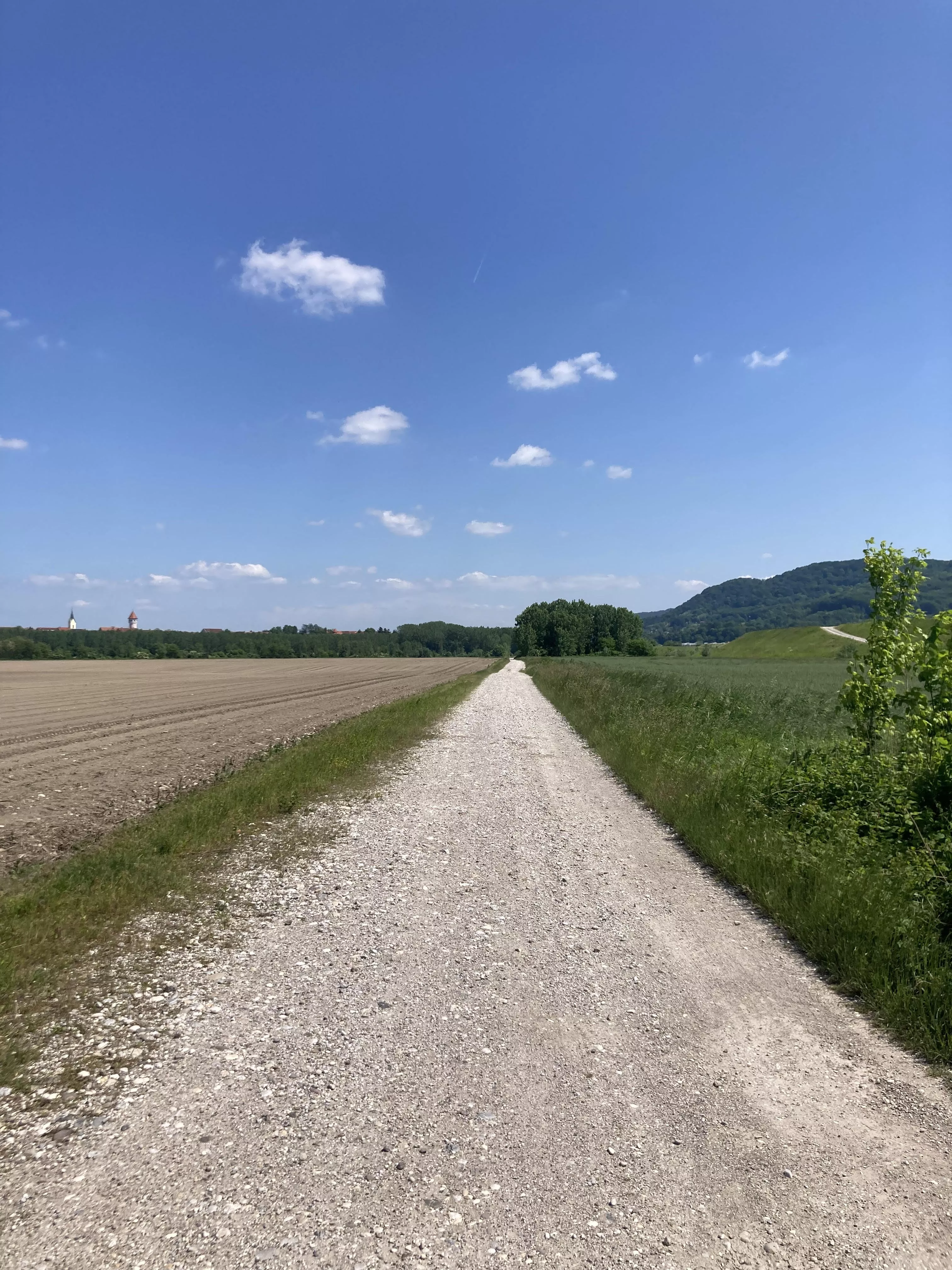 Predstavljamo tekaško traso za dogodek »Brežice tečejo ’23«