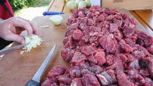 Prva golažijada Pri Gaju