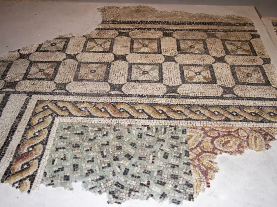 Prva nedelja v muzeju: Neviodunumski mozaik