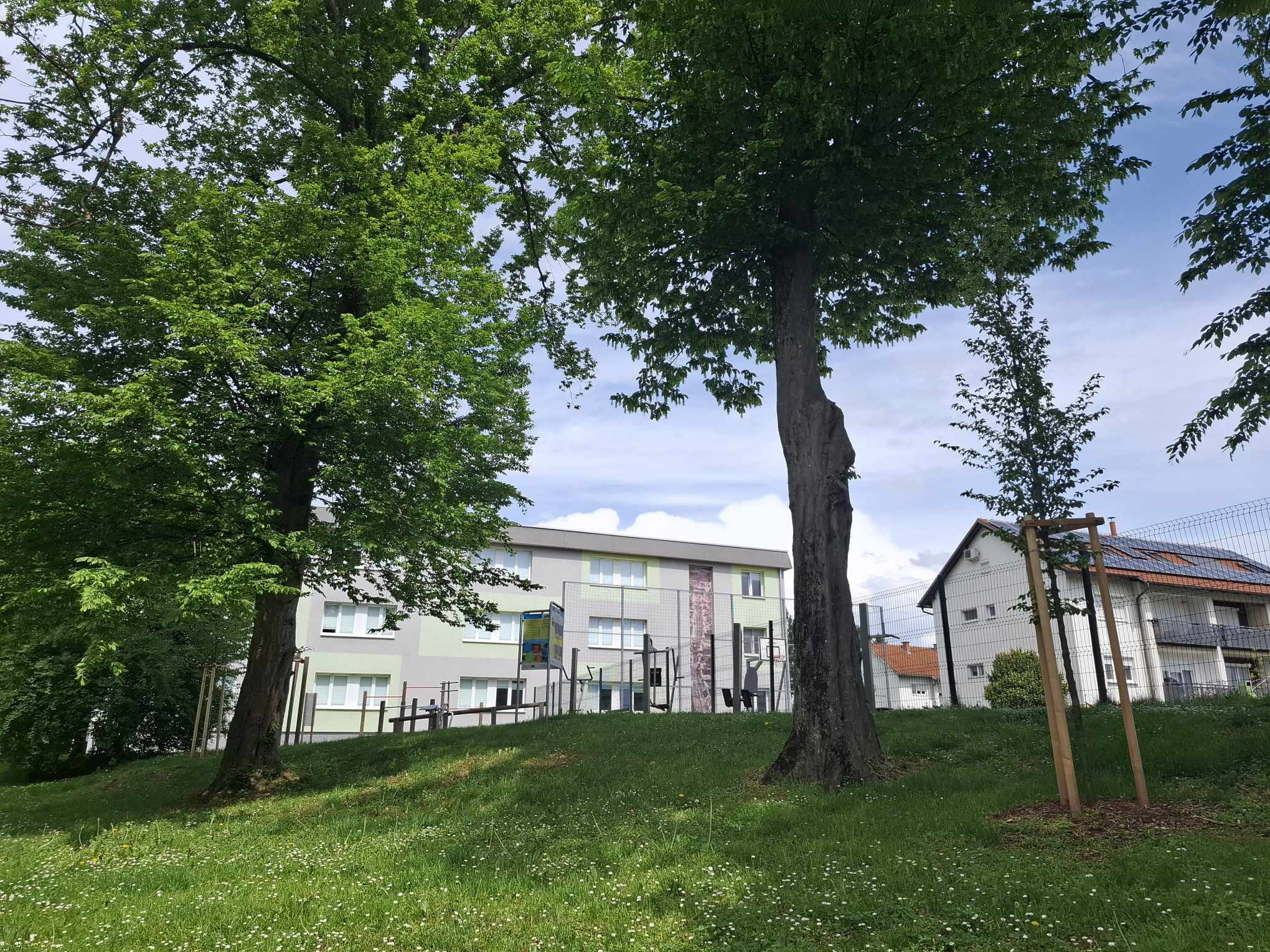 Skupaj za zeleno prihodnost: Posadimo drevesa in zmanjšajmo ogljični odtis