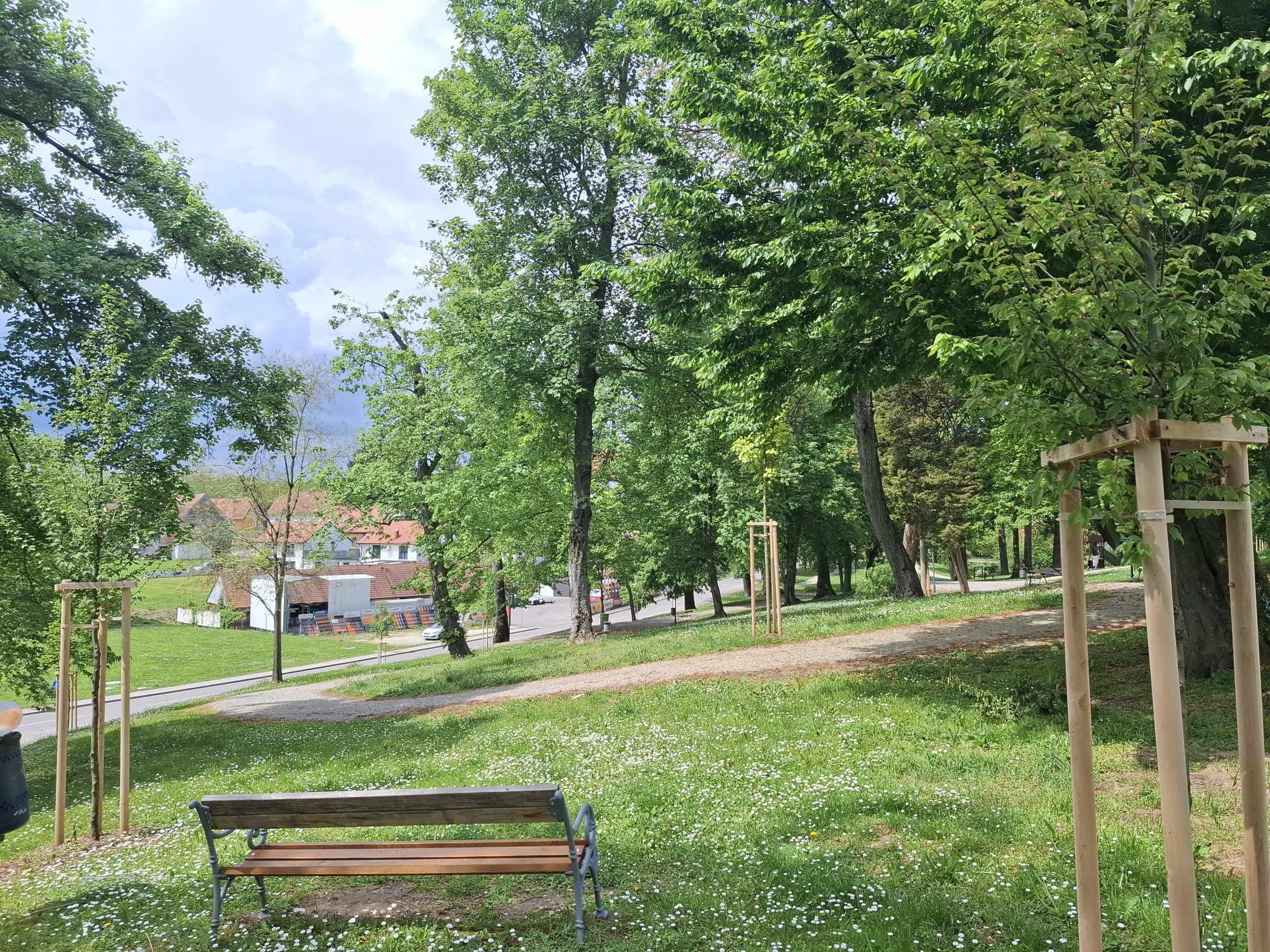 Skupaj za zeleno prihodnost: Posadimo drevesa in zmanjšajmo ogljični odtis