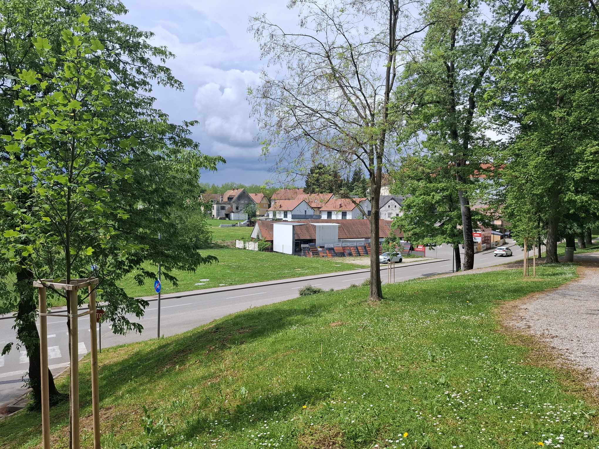 Skupaj za zeleno prihodnost: Posadimo drevesa in zmanjšajmo ogljični odtis