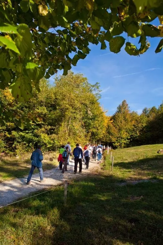 Sromeljska pot vina in sonca