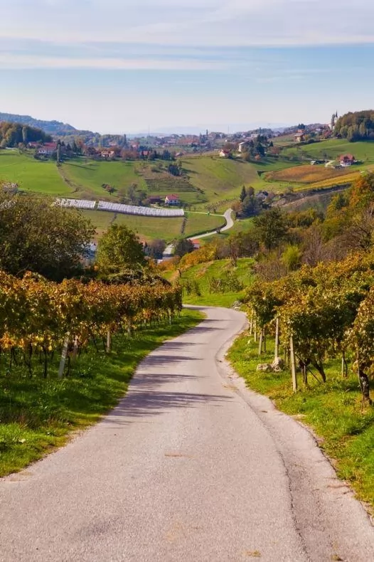 Sromeljska pot vina in sonca