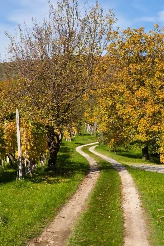 Sromeljska pot vina in sonca