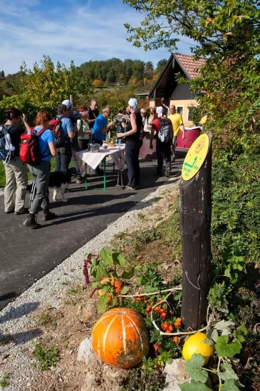 Sromeljska pot vina in sonca