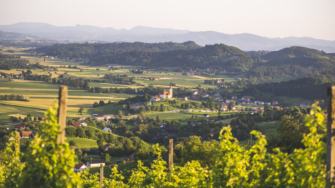 St. Martin’s Celebration at Bizeljsko with the Band Gadi