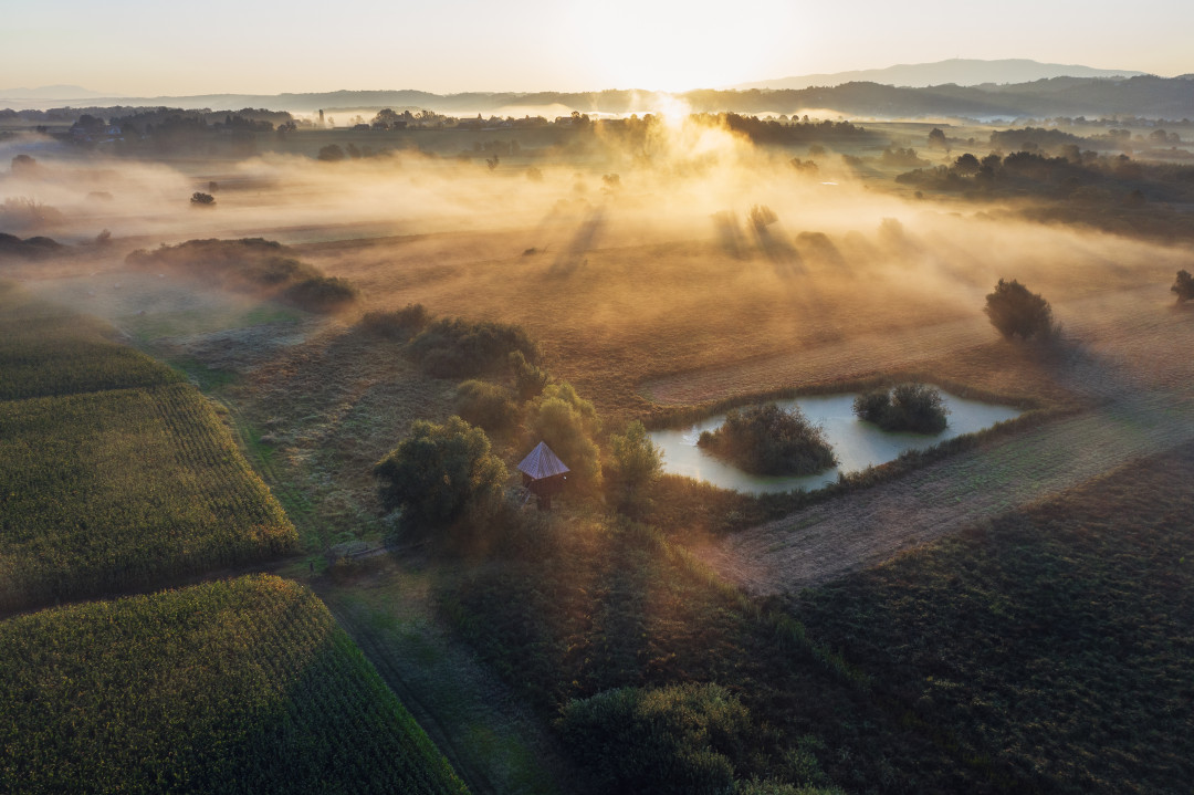 Svetovni dan mokrišč: Varovanje naših naravnih zakladov