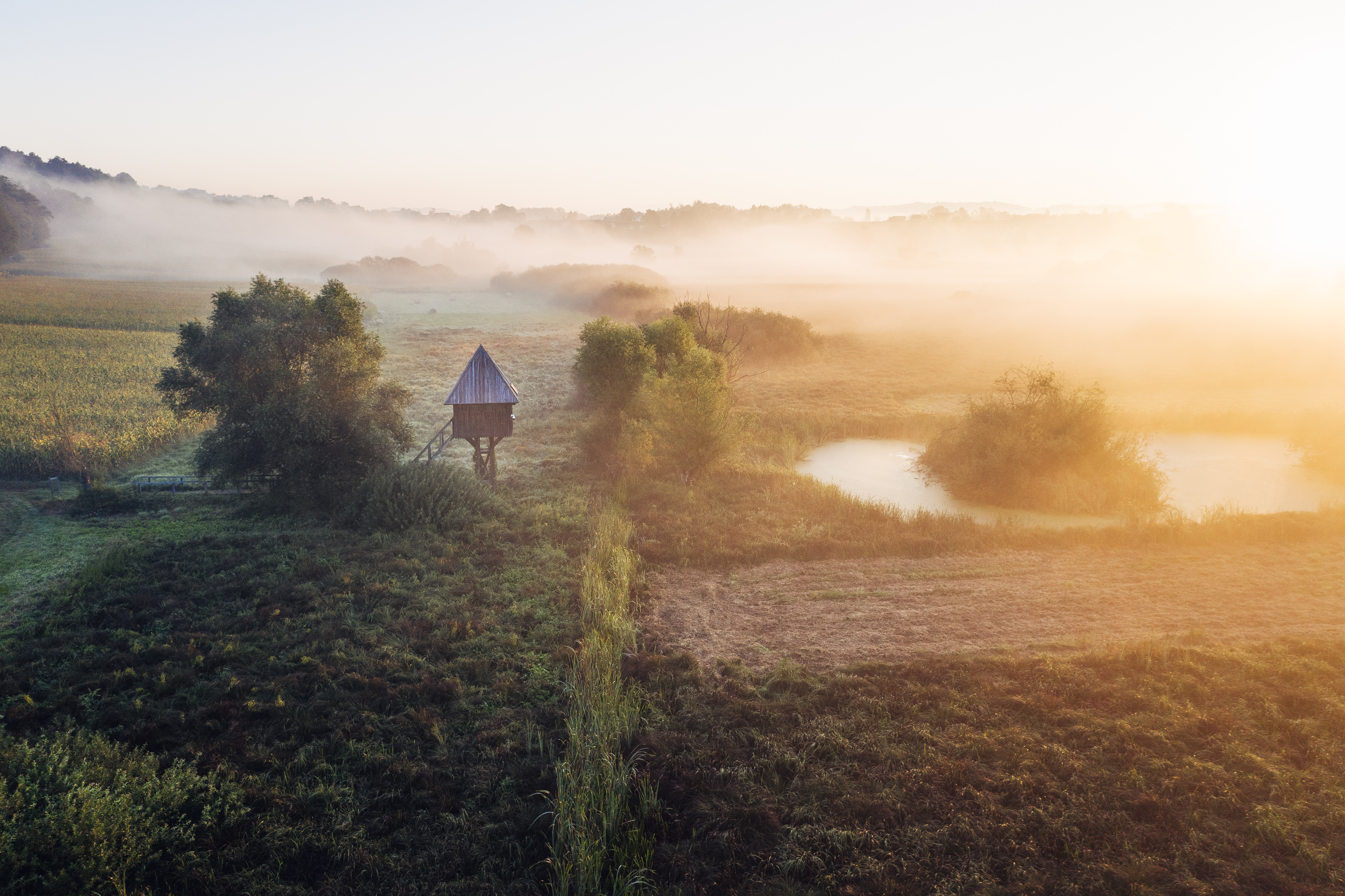 Svetovni dan mokrišč: Varovanje naših naravnih zakladov