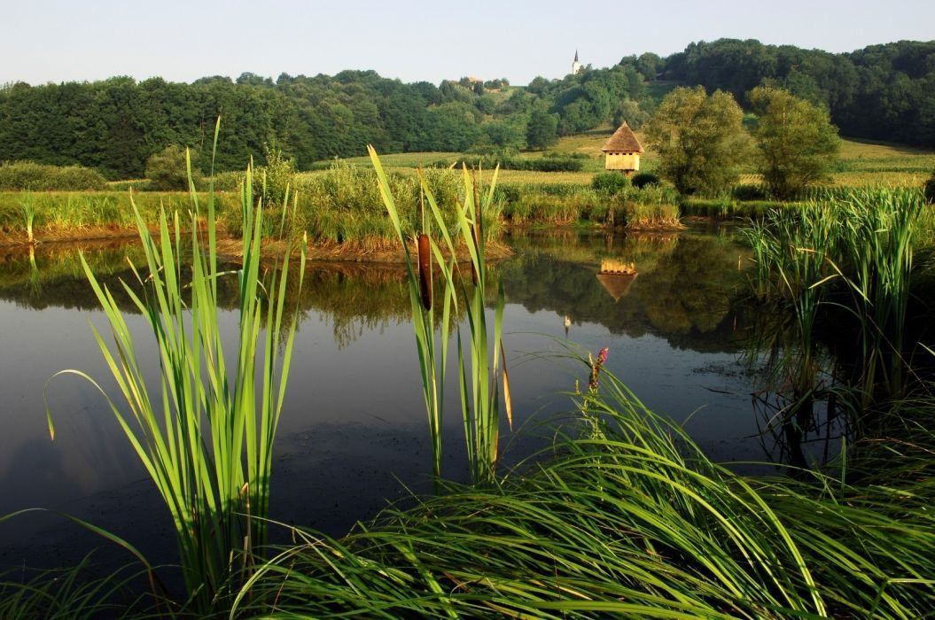 Svetovni dan mokrišč: Varovanje naših naravnih zakladov