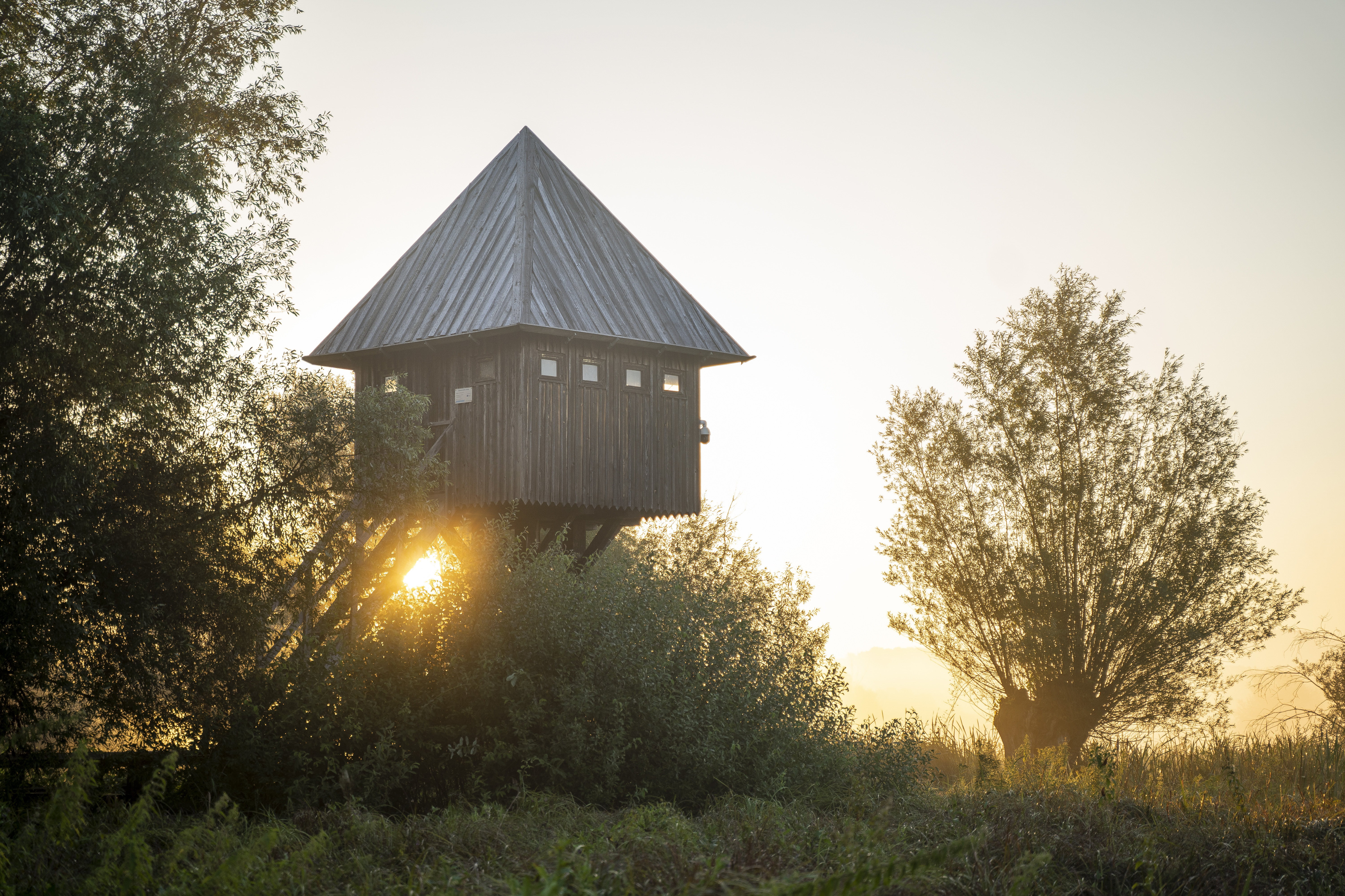 Svetovni dan mokrišč: Varovanje naših naravnih zakladov