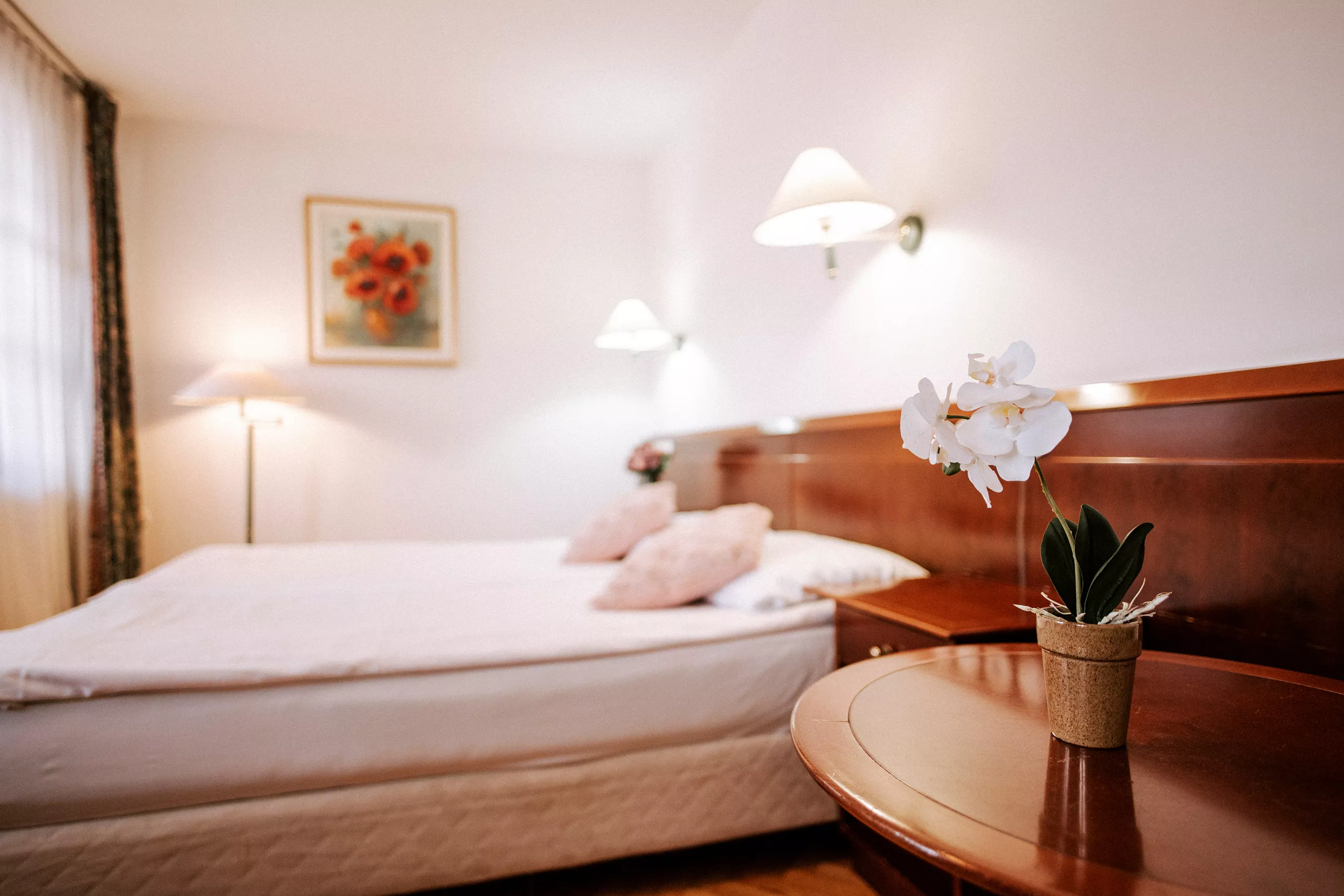 Terme Čatež –  Hotel Toplice