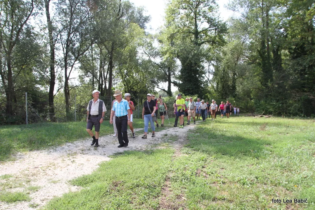 The Sotla Trail