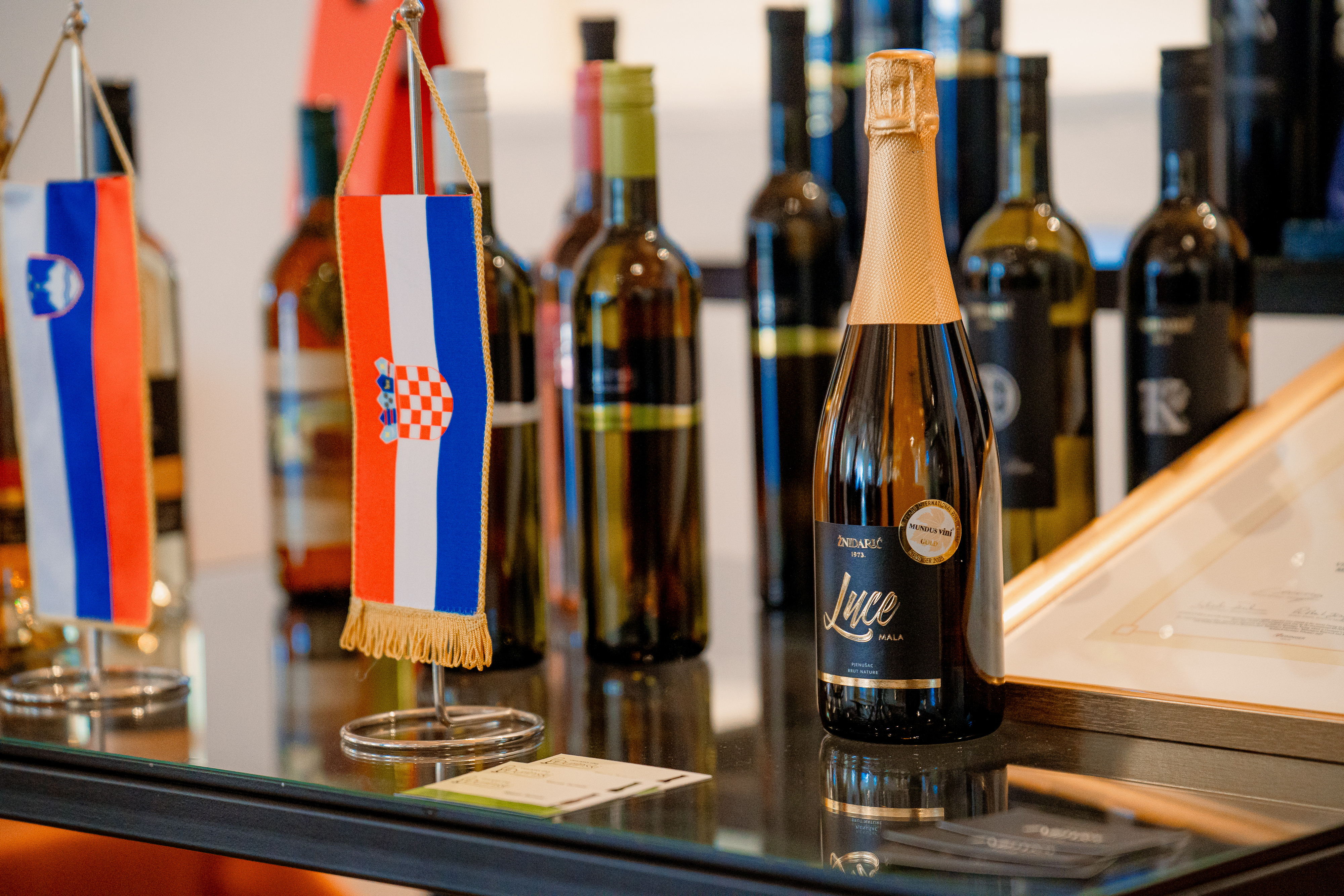 Trajnost in dostopnost - standard razvoja turizma