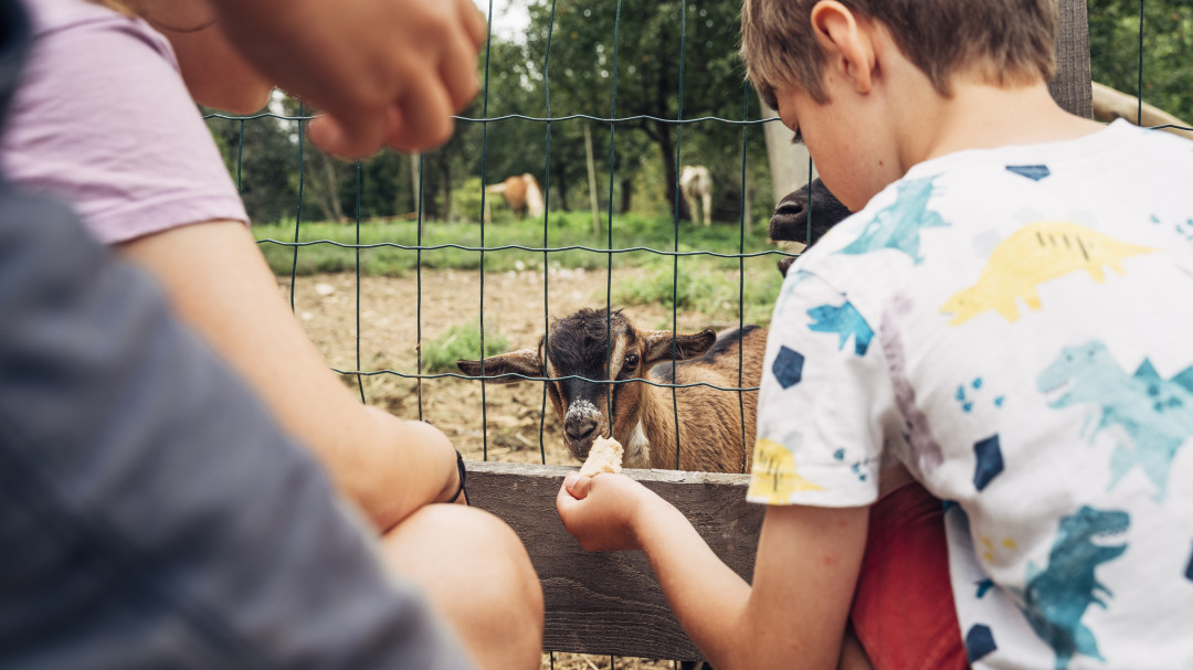 Turistična kmetija Pri Martinovih