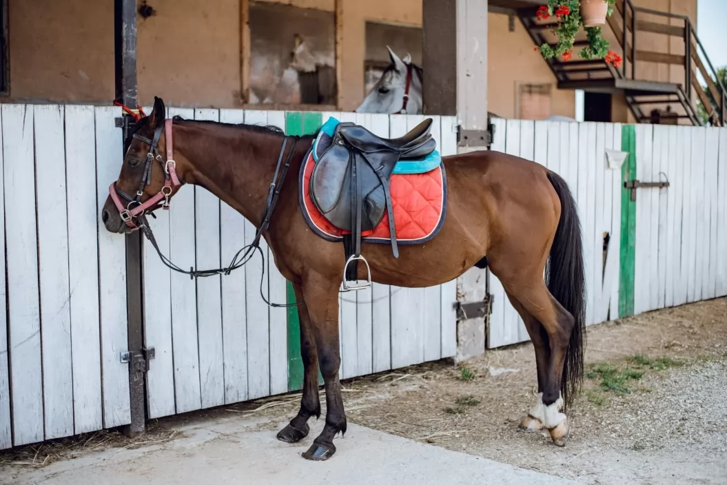 Turistična kmetija Zevnik