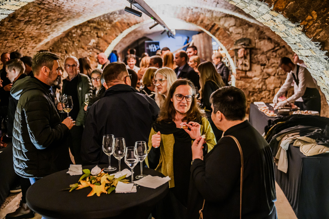 Uvod v Martinov teden v Brežicah