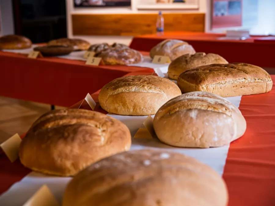 Vabilo na ocenjevanje v peki domačega kruha