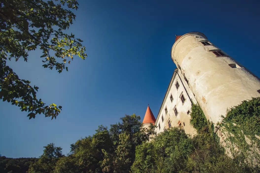 Vinska klet Wisell – Grad Bizeljsko