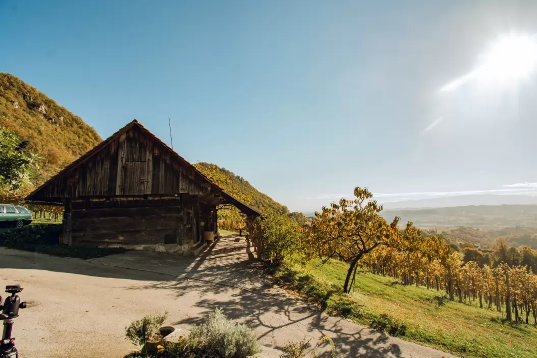 Vinski hram – vinotoč Berkovič