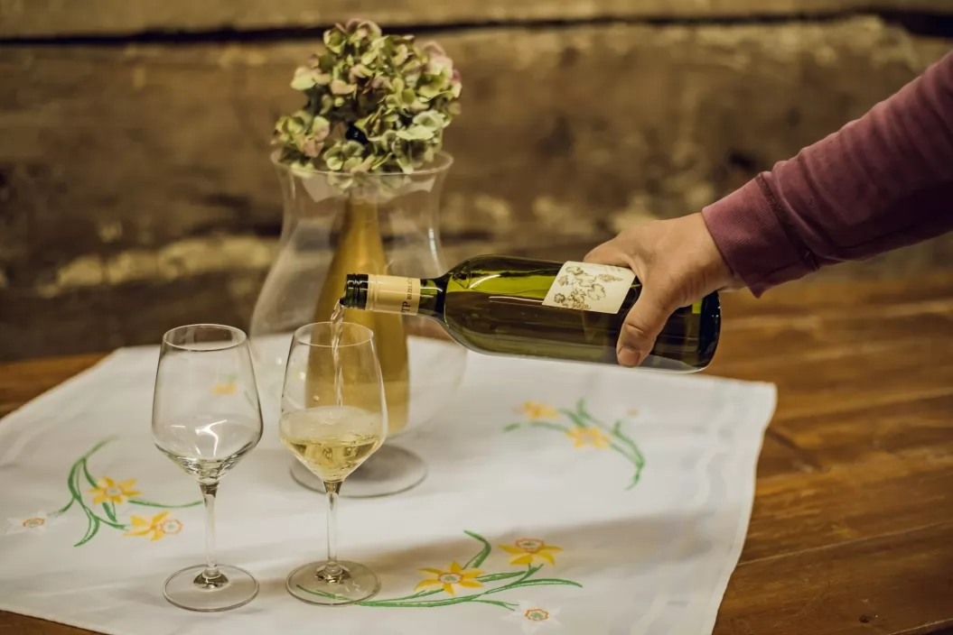 Vinski hram – vinotoč Berkovič