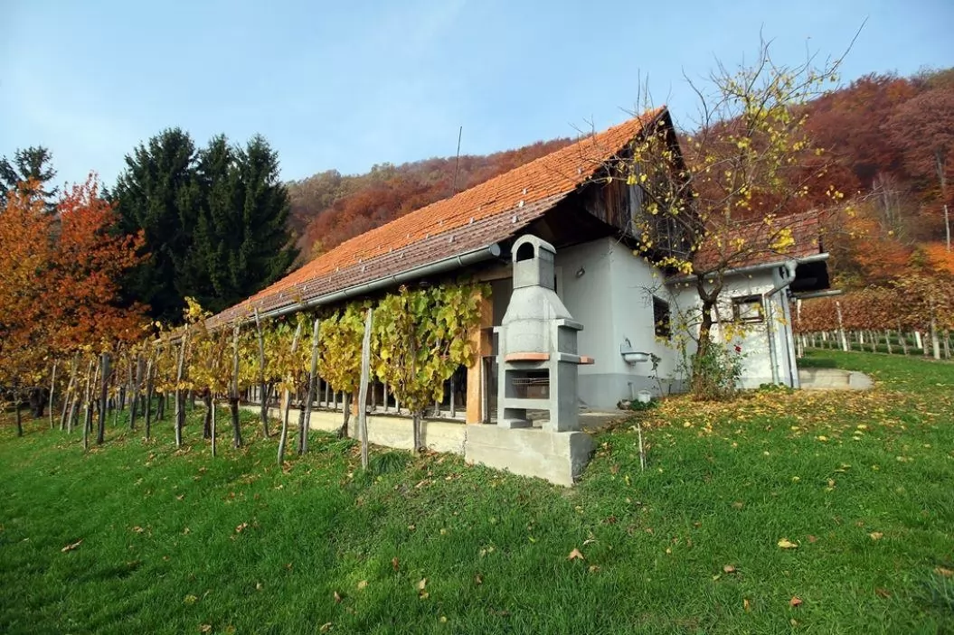 Vinski hram – vinotoč Berkovič