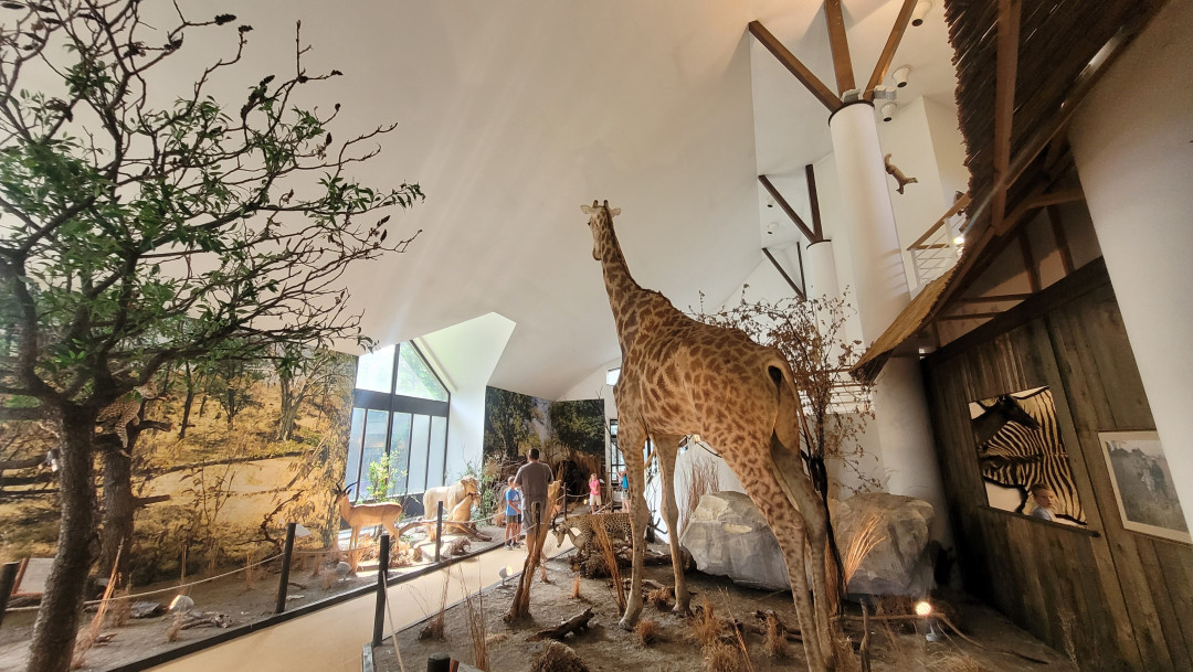 Voden ogled Lovskega muzeja Polovič