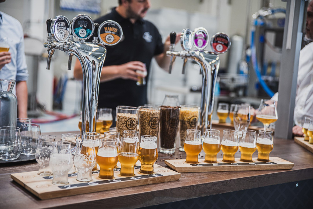 Voden ogled pivovarne in degustacija piv v Reset Brewery