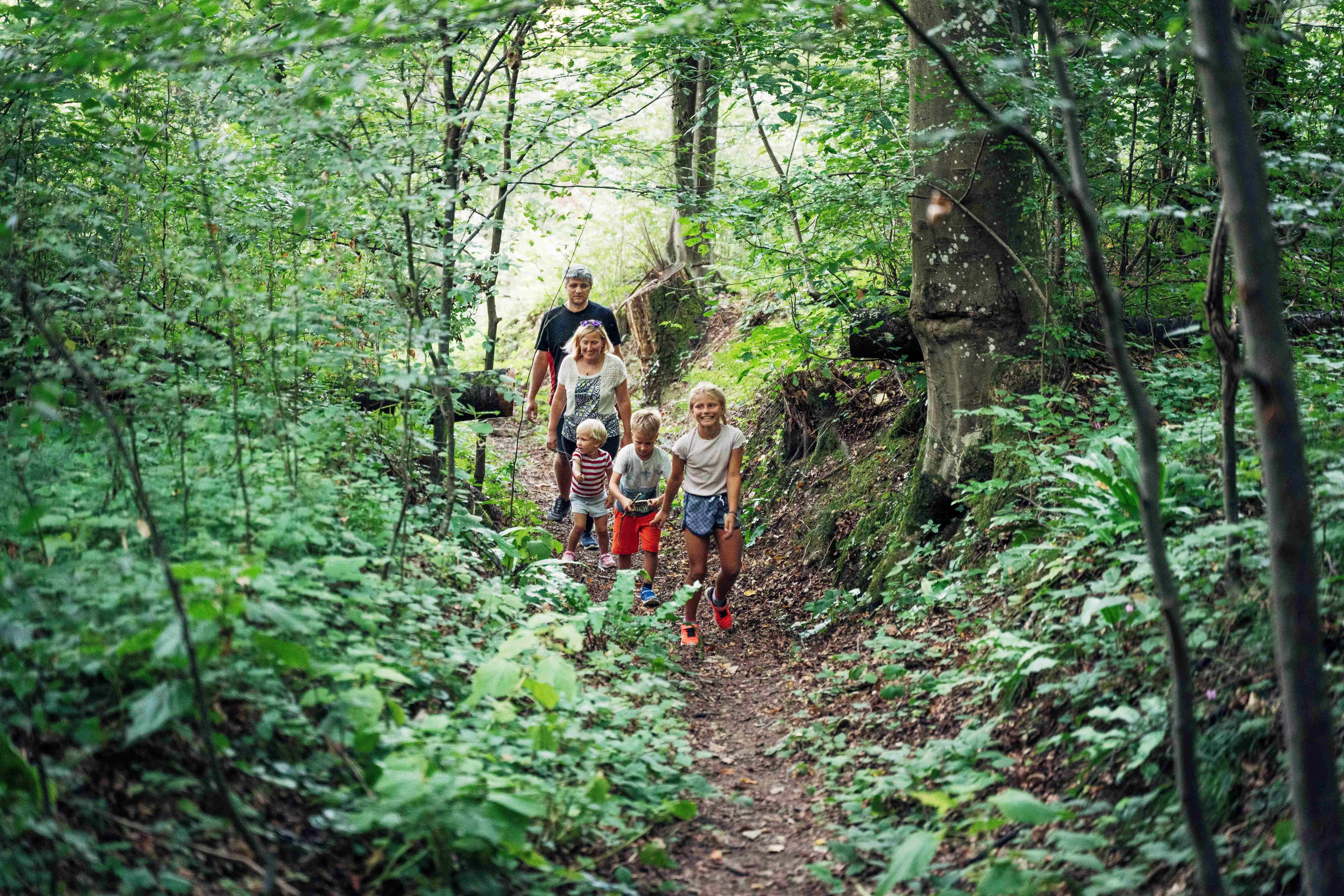 Voden pohod Leseni križev pot