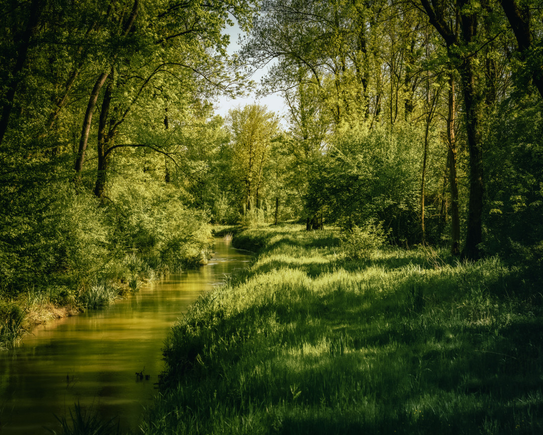 Vrbina Brežice_Ana Benje (1) (1)