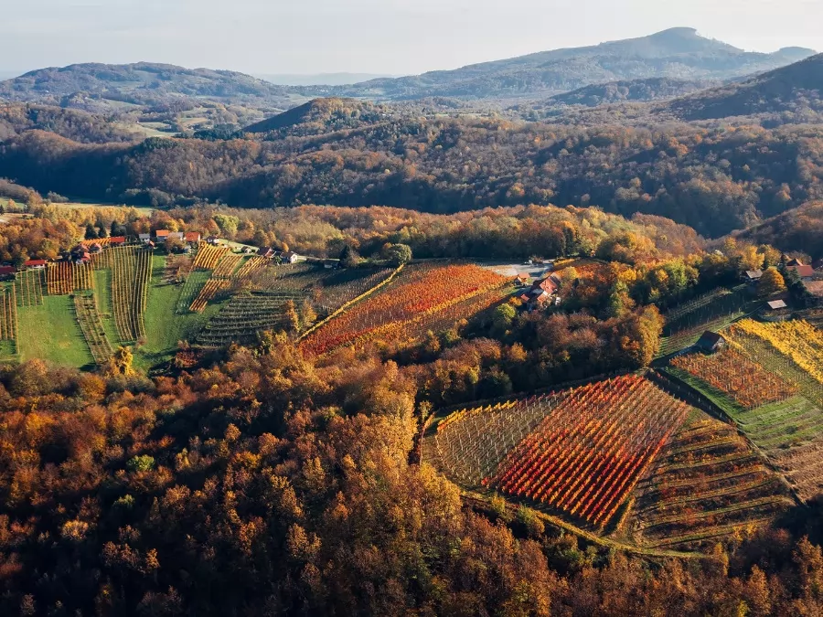 Wandering in the Land Of Cviček