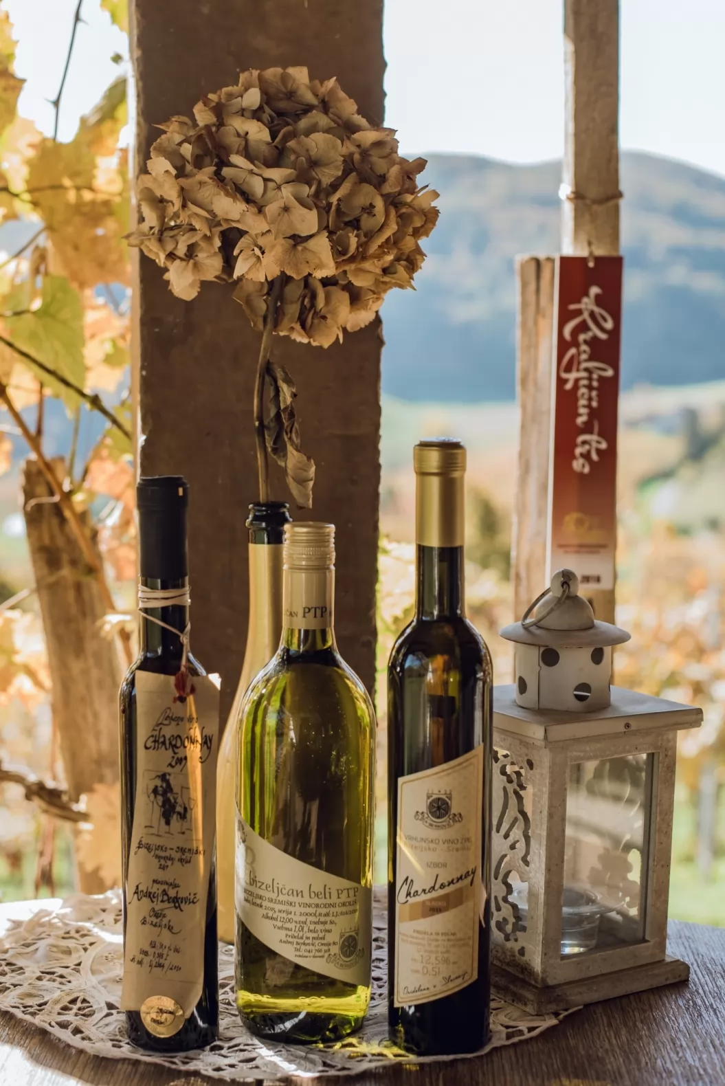 Wine Cellar – Winery Berkovič