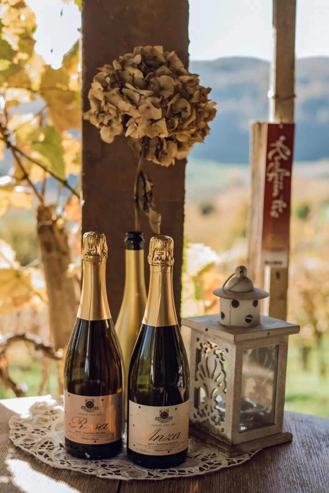 Wine Cellar – Winery Berkovič