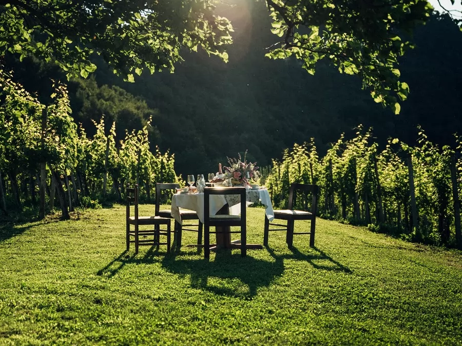 Wine Cellar – Winery Berkovič