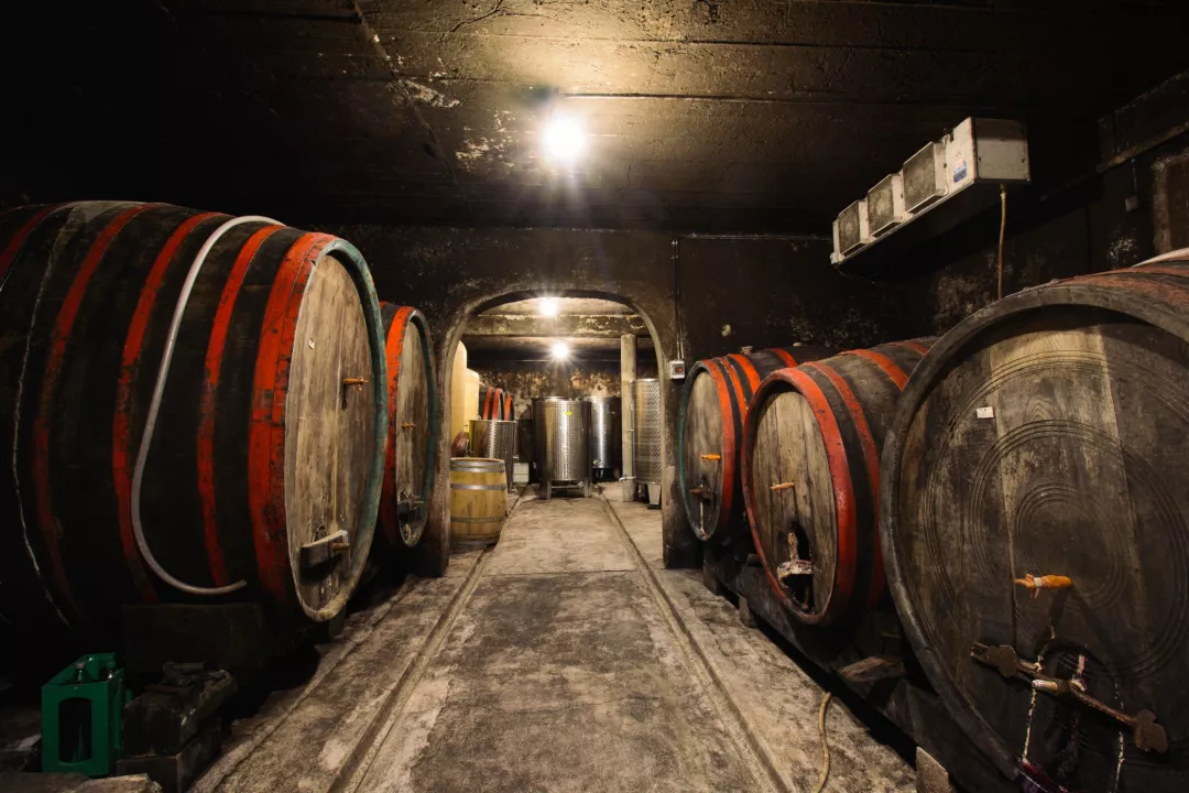 Wine Cellar – Winery Berkovič