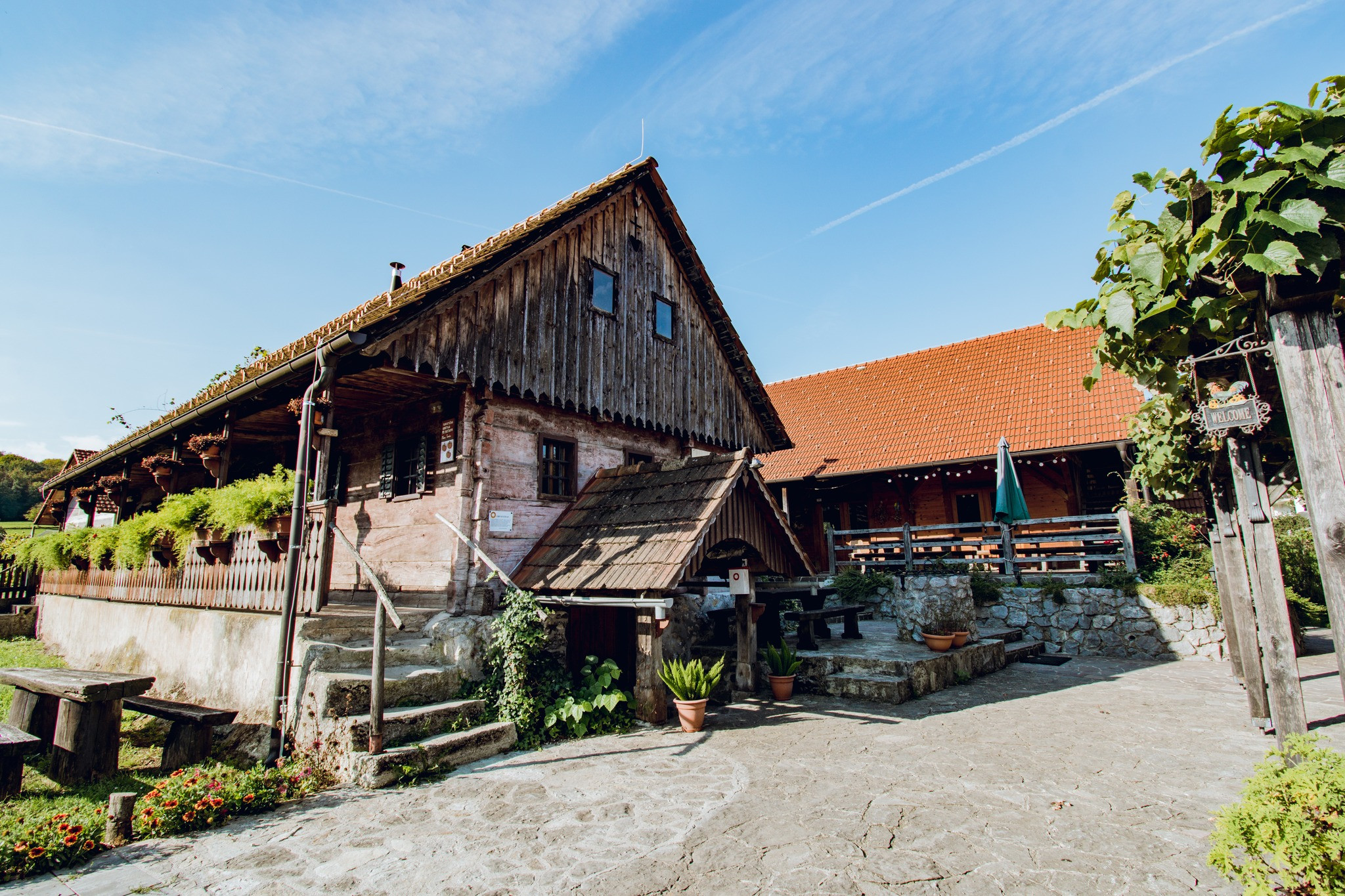 Wine & walk Saint Joseph Dolenjska