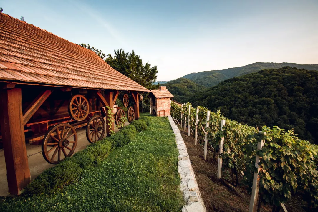 Wineries and wine cellars