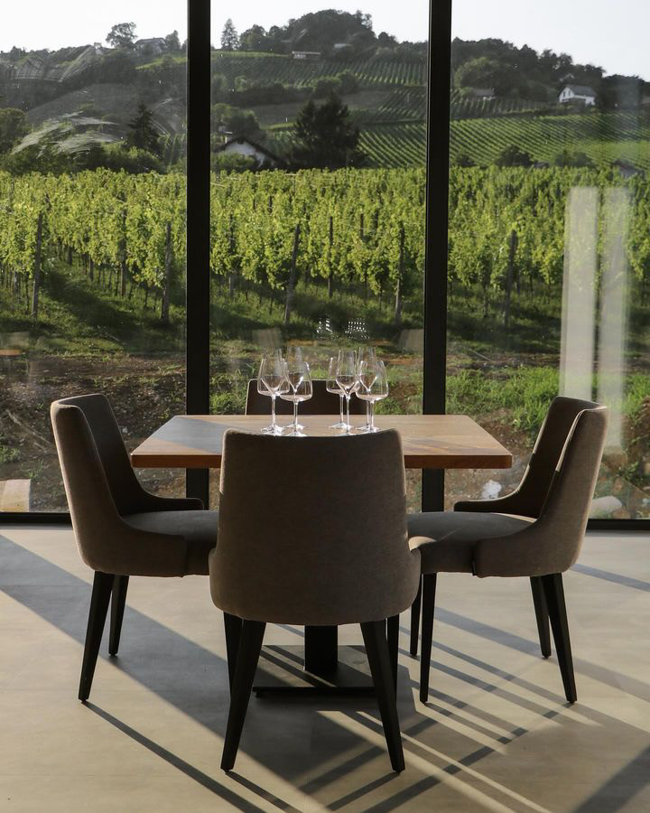 Degustacija - Winery Mihelin